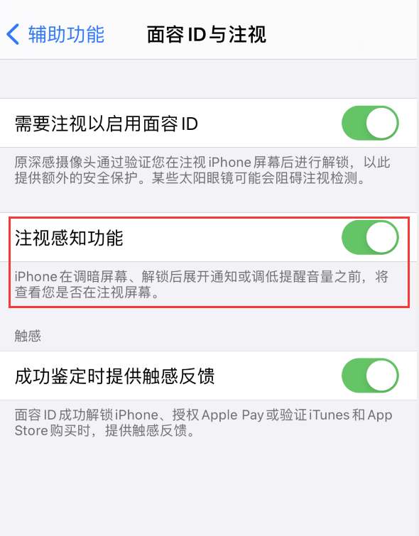 榕江苹果手机维修分享iPhone 12 不会自动锁屏怎么办 